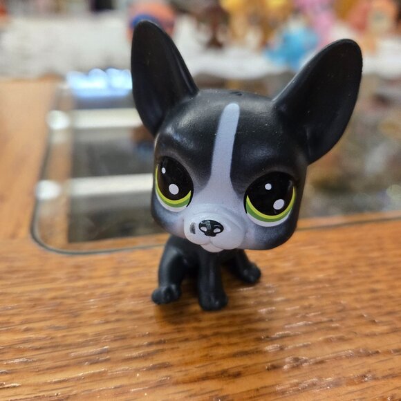 Toys | Littlest Pet Shop Lps Hungry Pets Series 4 Boston Terrier Bacon ...